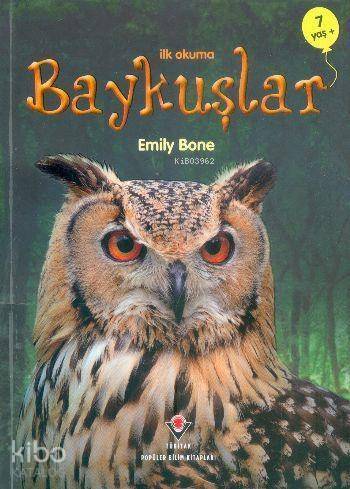 Baykuşlar - 1