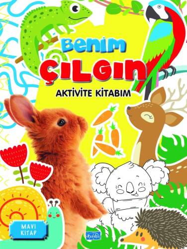 Benim Çılgın Aktivite Kitabım – Mavi Kitap - 1