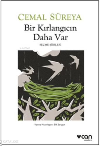 Bir Kırlangıcın Daha Var - 1
