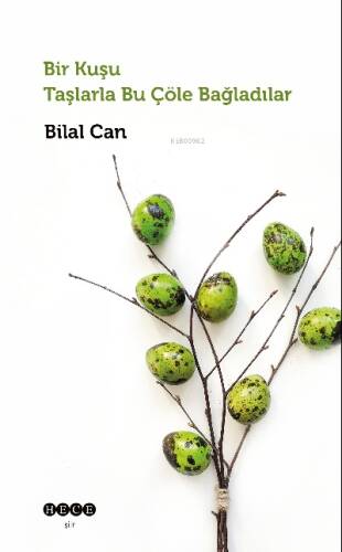 Bir Kuşu Taşlarla Bu Çöle Bağladılar - 1