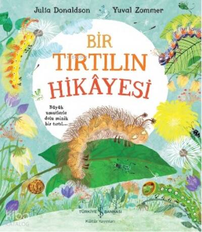 Bir Tırtılın Hikâyesi - 1