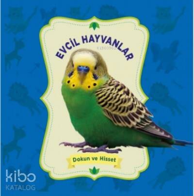 Evcil Hayvanlar – Dokun Ve Hisset - 1