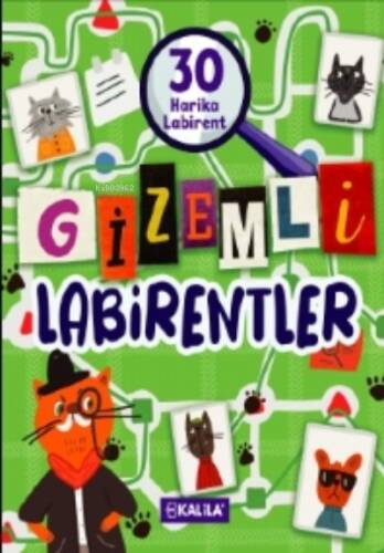 Gizemli Labirentler - 1