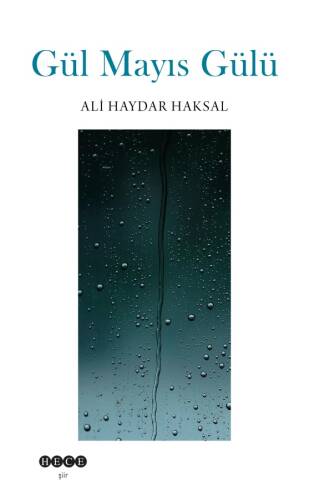Gül Mayıs Gülü - 1