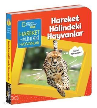 Hareket Halindeki Hayvanlar - İlk Kitaplarım Serisi Ciltli - 1