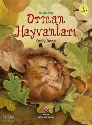 İlk Okuma - Orman Hayvanları - 1