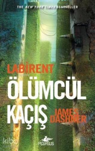 Labirent 1 - Ölümcül Kaçış - 1