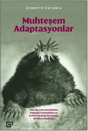 Muhteşem Adaptasyonlar - 1