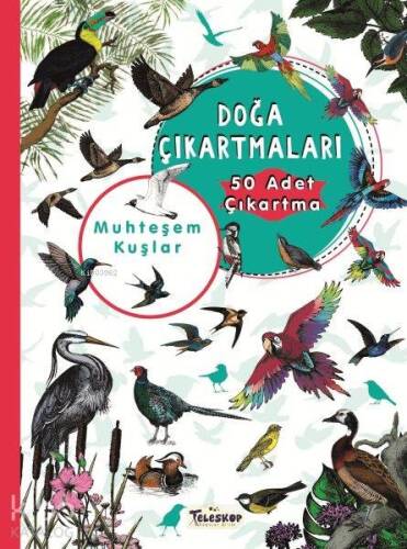 Muhteşem Kuşlar - Doğa Çıkartmaları - 1