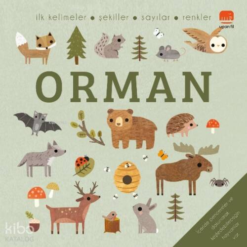 Orman;İlk Kelimeler - Şekiller - Sayılar - Renkler - 1