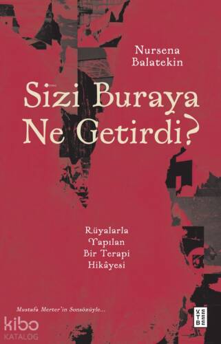 Sizi Buraya Ne Getirdi?;Rüyalarla Yapılan Bir Terapi Hikâyesi - 1