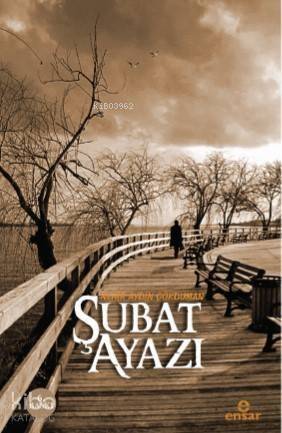 Şubat Ayazı - 1