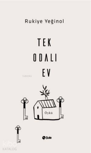 Tek Odalı Ev - 1