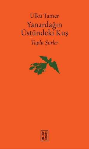 Yanardağın Üstündeki Kuş;Yanardağın Üstündeki Kuş - 1
